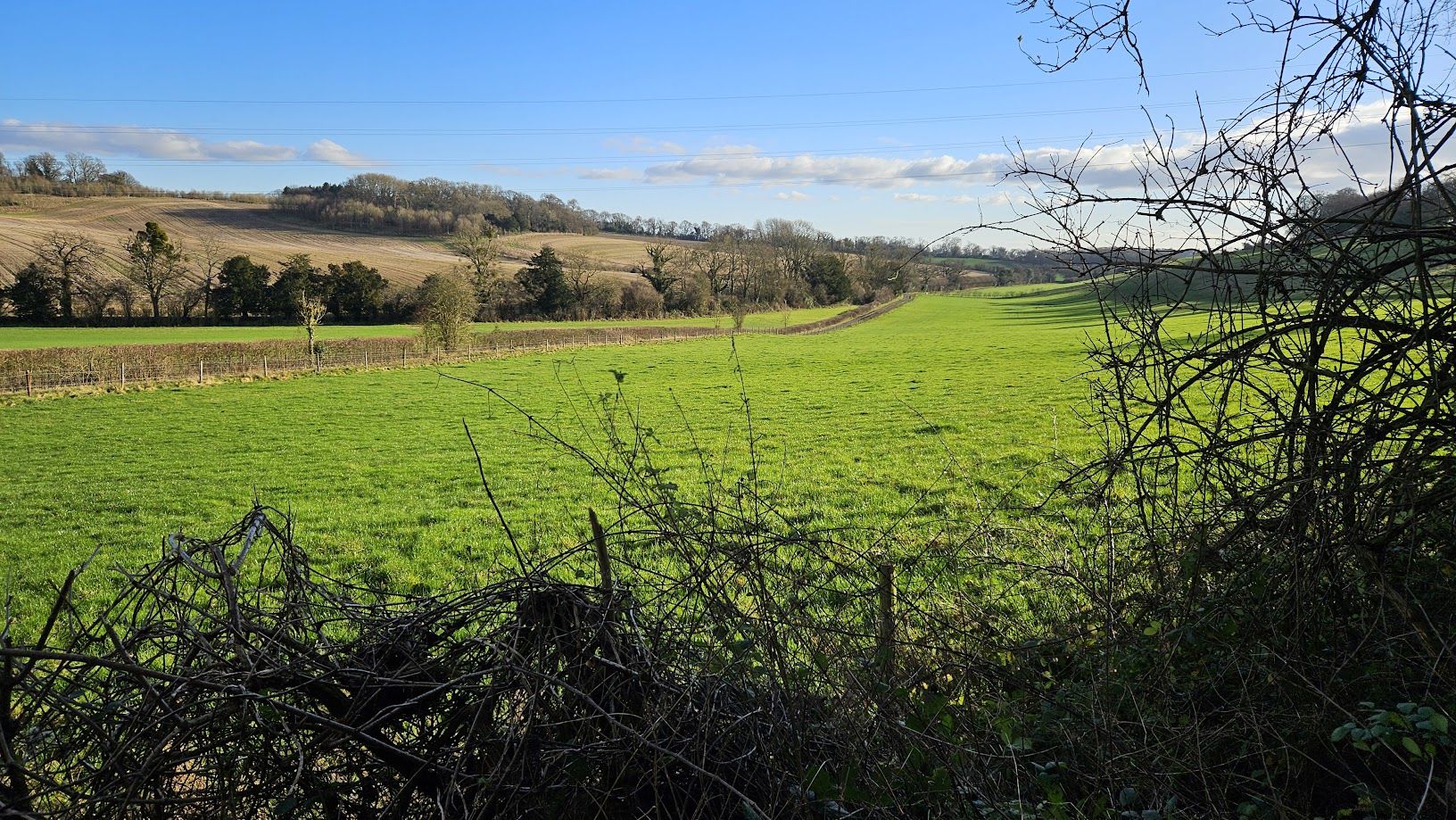 Lovely view during the Farley Mount walk
